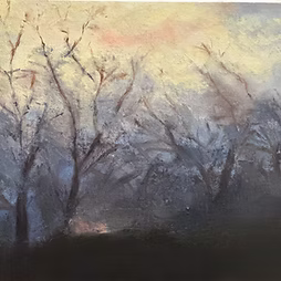 Forrest at Twilight